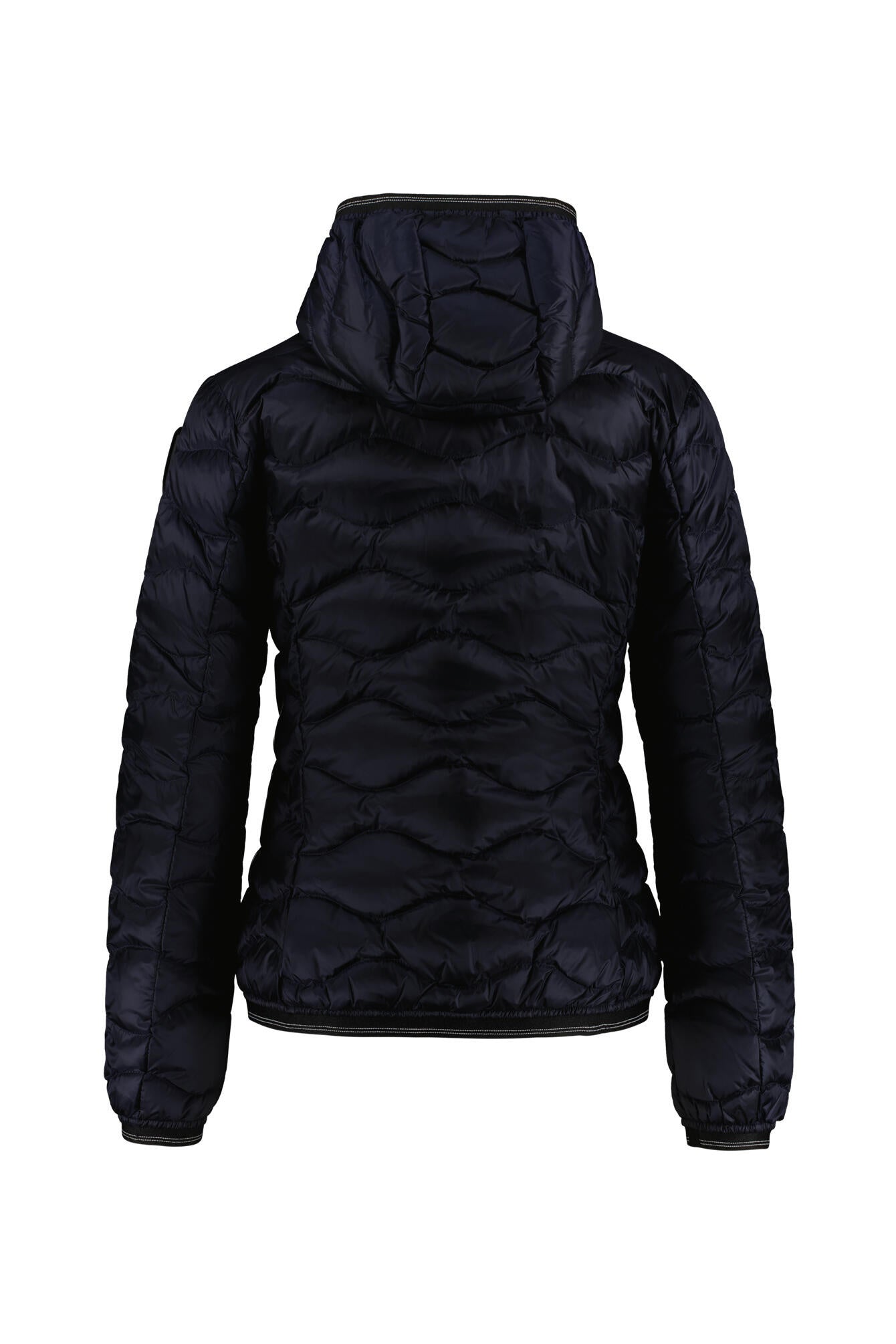 Gesteppte Daunenjacke - 888 Blue - Blau