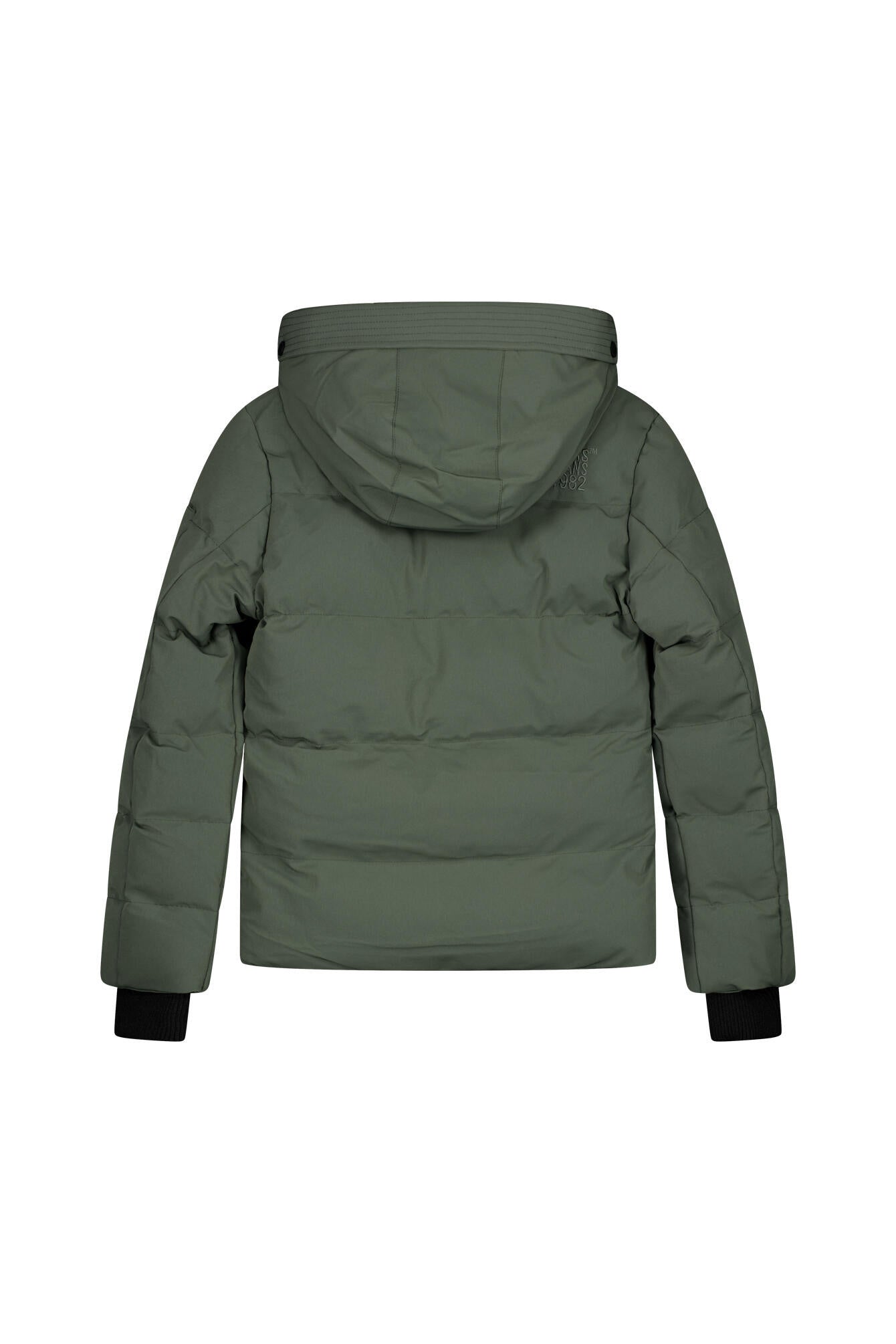 Gesteppte Winterjacke - 18 Olive - Grün