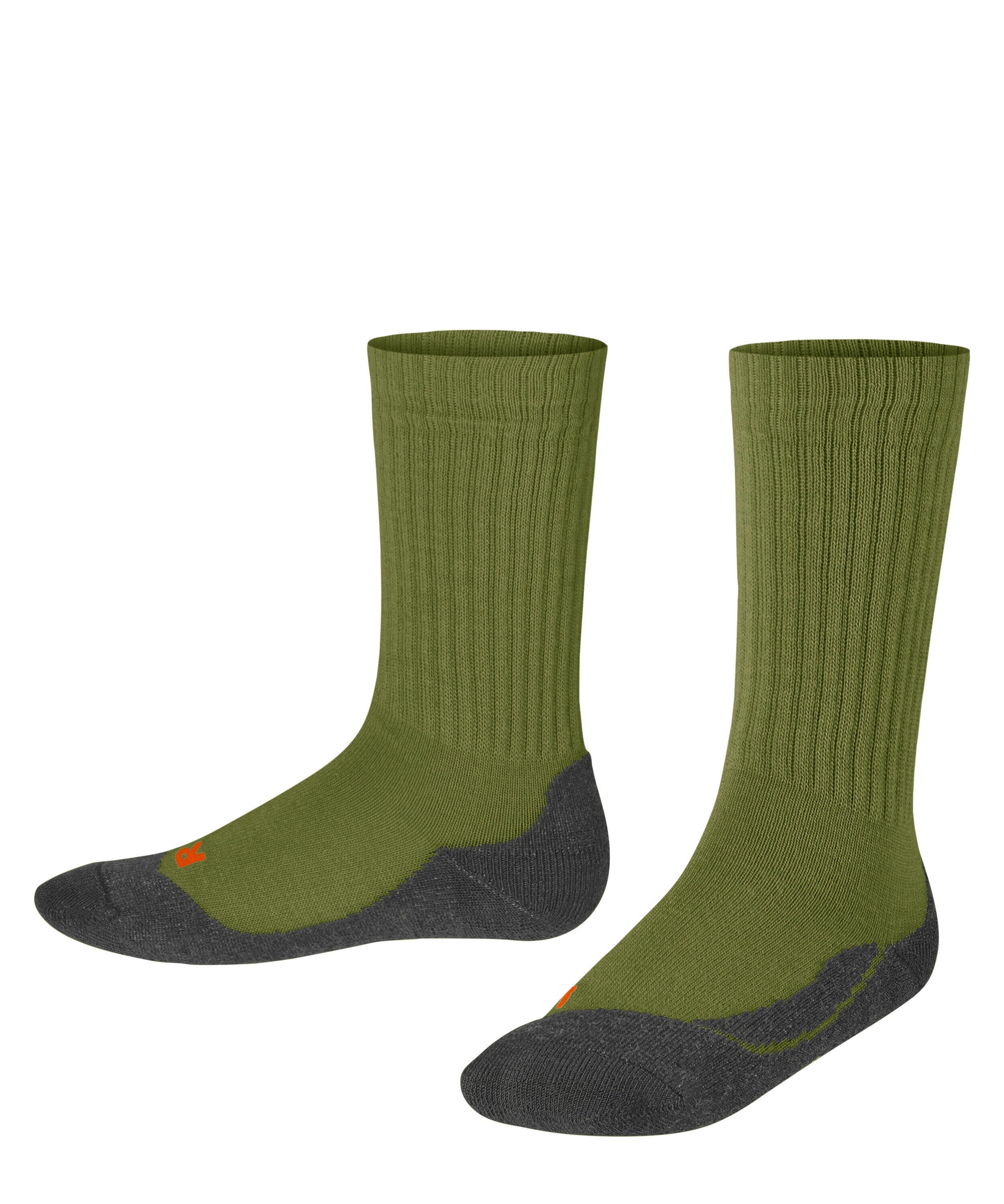 Socken Active Warm - 7756 calla green - Grau | Grün