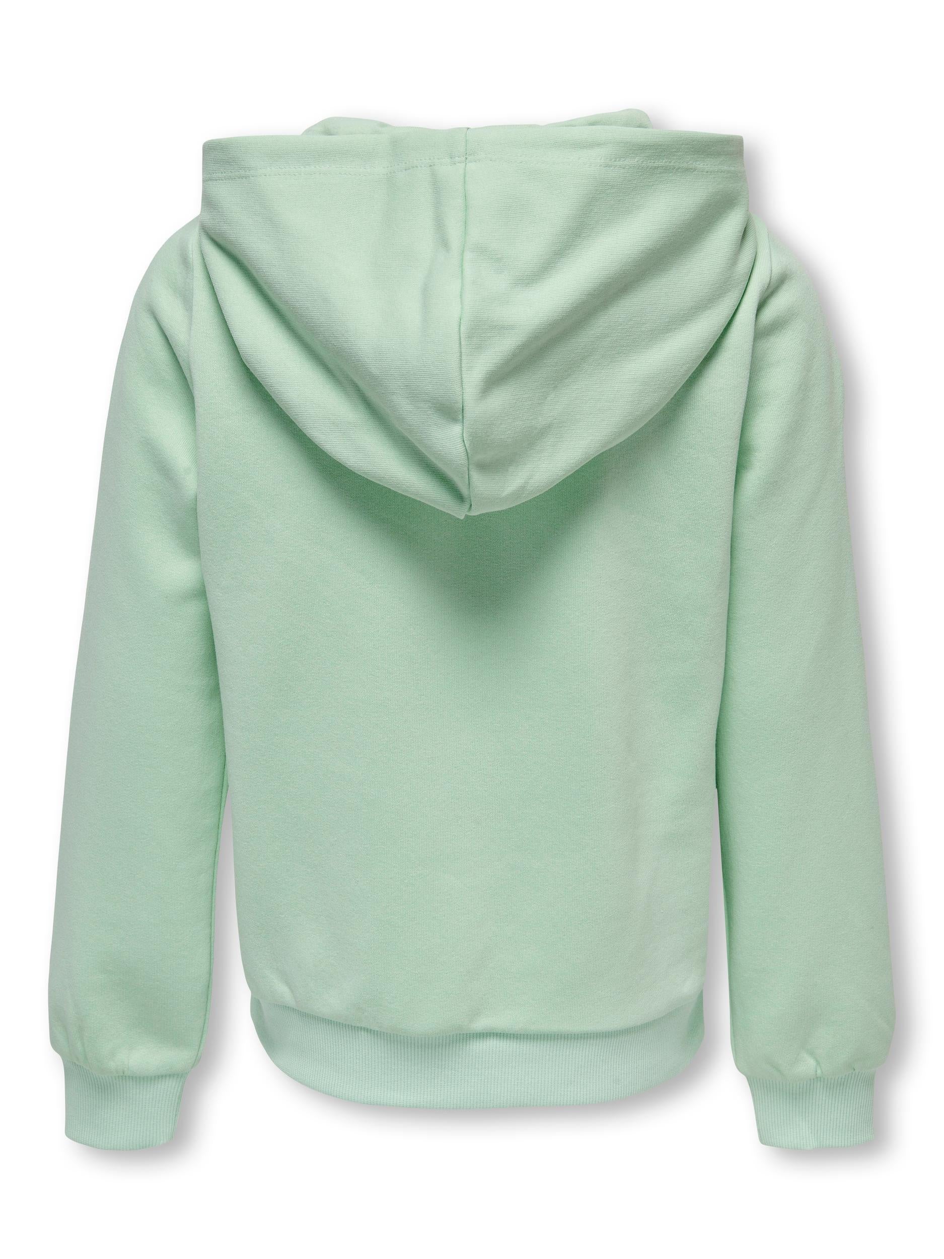 Hoodie mit Logostick - Mist Green/MULTICOL LOGO - Grün