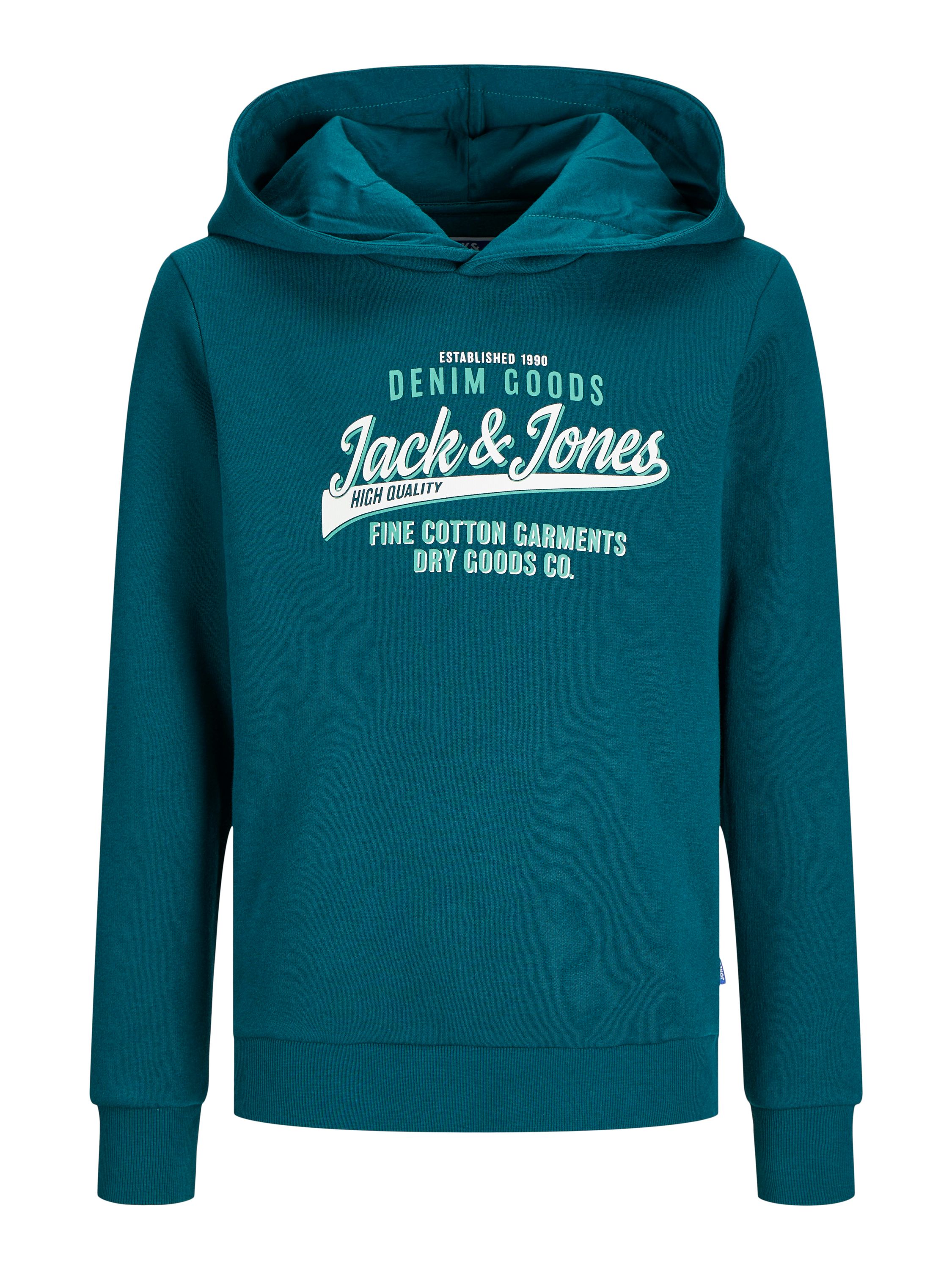 Sweathoodie mit Logoprint - Deep Teal/WHITE + WINTER GREEN - Grün