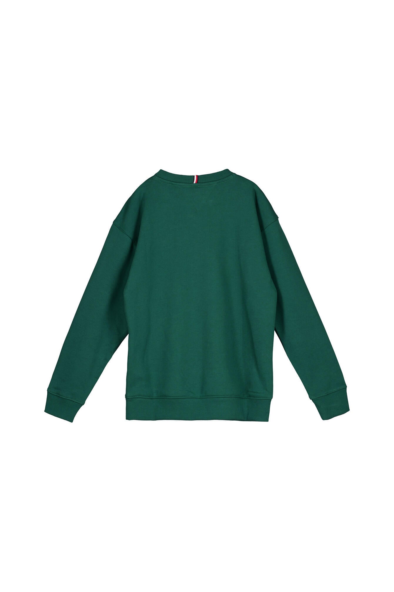 Sweatshirt - L6K-GREEN - Grün